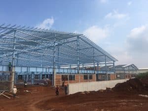 Thi Công Nhà Máy Cibao Giai Đoạn 2 — 13/16